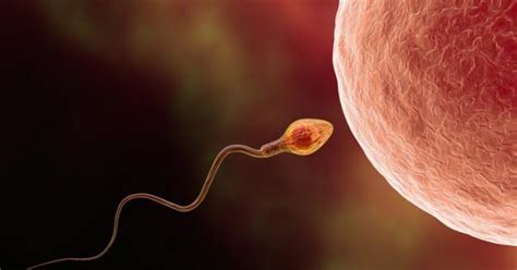 какви трябва да бъдат сперматозоидите при простатит